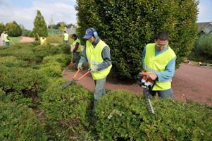 Entretien des espaces verts